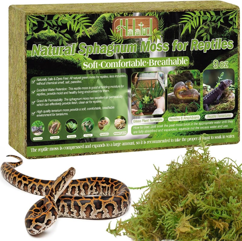 Halatool 9OZ Natural Sphagnum Moss for Reptiles- 14QT Green Moss for Terrarium Plants Long Fiber Reptile Moss for Leopard Gecko Snake Hamsters Tortoises Frogs Lizards Salamanders - Image 1